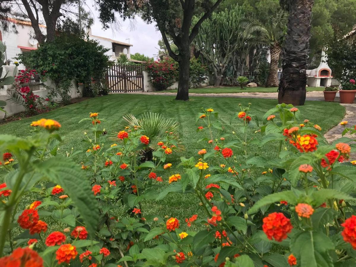 Villa Acquamarina Stella Di Mare กาปิตานา ภายนอก รูปภาพ